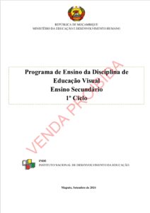 Educação Visual da 8ª Classe - Programa de Ensino (INDE 2024) em PDF