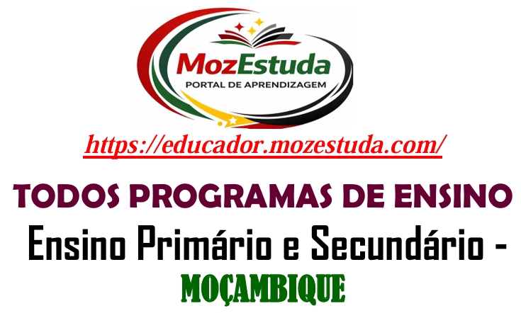 Pogramas de Ensino Por disciplinas