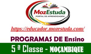 Programas de Ensino da 5ª Classe em PDF