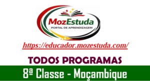 Programas de Ensino da 8ª Classe de Moçambique em PDF