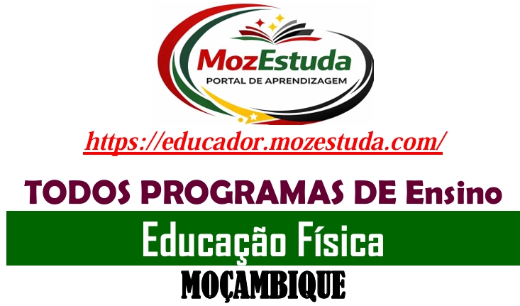 Programas de Ensino de Educação Física em PDF