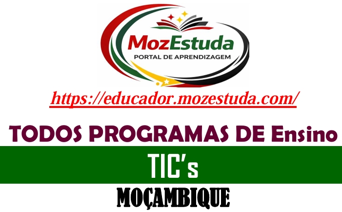 Programas de Ensino de TICs em PDF