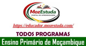 Programas do Ensino Primário de Moçambique em PDF​